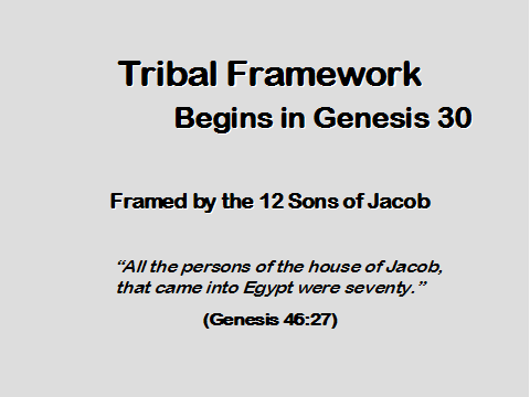 Tribal Framework