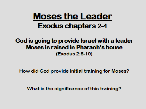 Moses The Leader